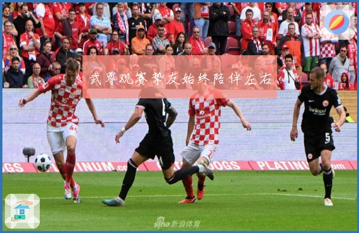 武尊观赛挚友始终陪伴左右